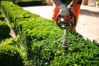 Gartenarbeit